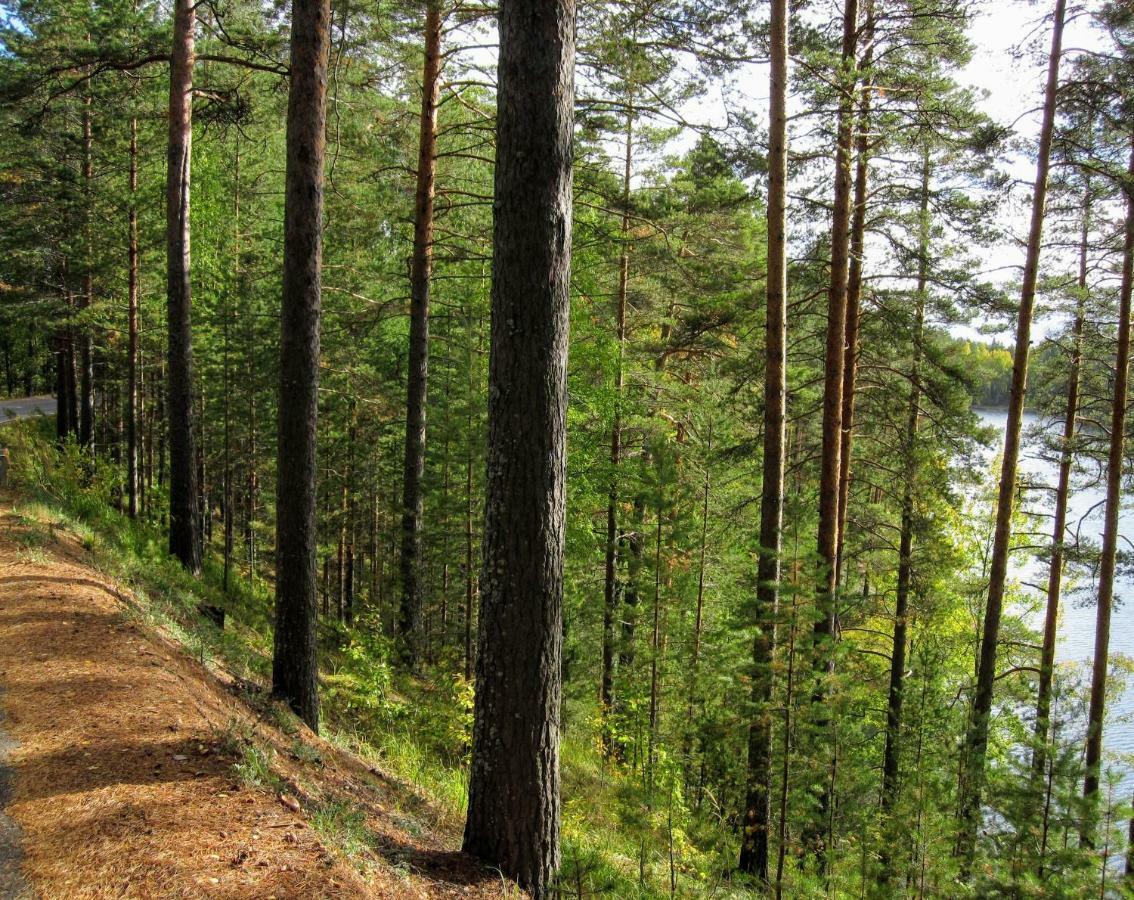 Pankkotupa Yrjo Punkaharju Exterior foto
